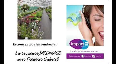 Séquence "Jardinage" de ce vendredi 29 novembre 2024 avec Frédéric Gabriel